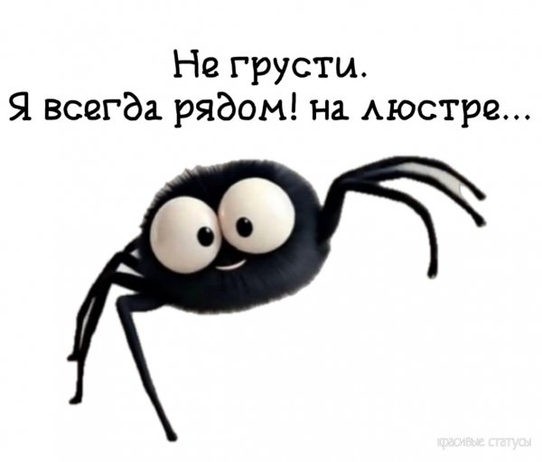 HoxImYiVYdU