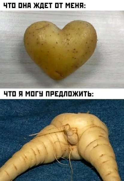 file_103289453