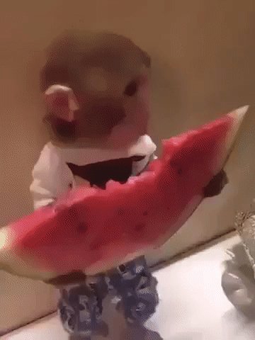 gif 1464380576