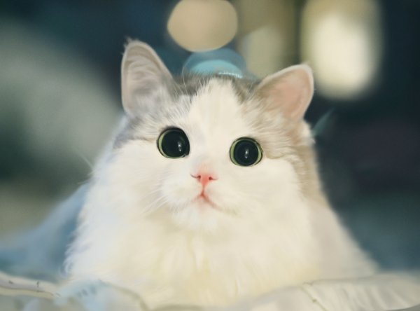 xiCcTEOlHCY