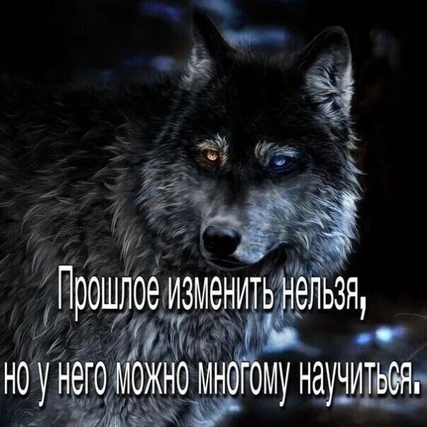 IMG 20260624 051539