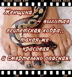 file_75596911
