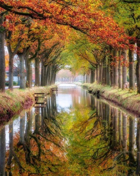 file_94764996