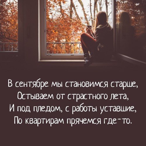 image (11)