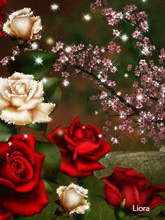 file_69156017
