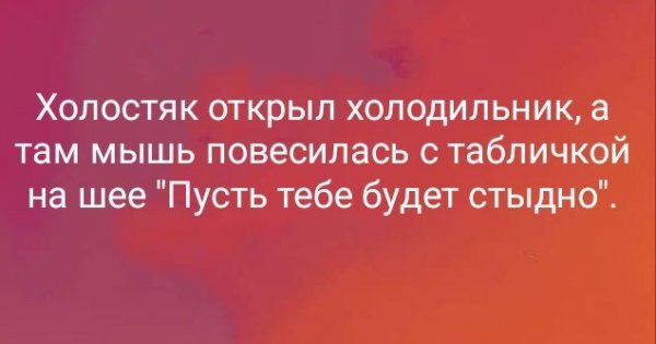 В холодильнике мышь повесилась