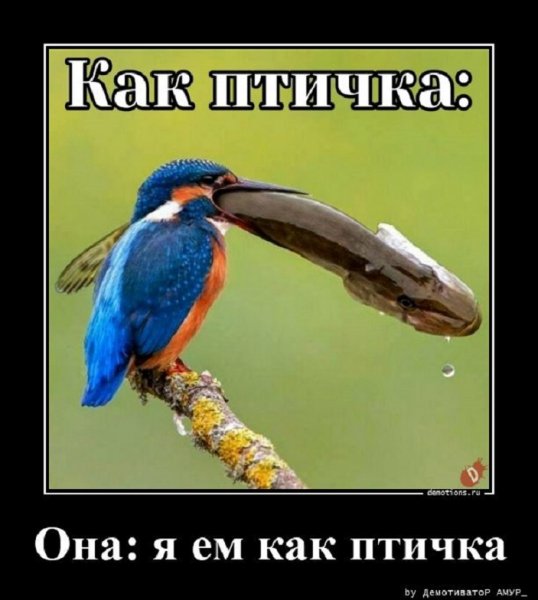 Я ем как птичка
