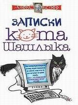 Записки кота Шашлыка