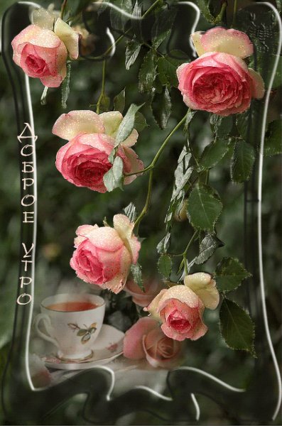 file_55898371