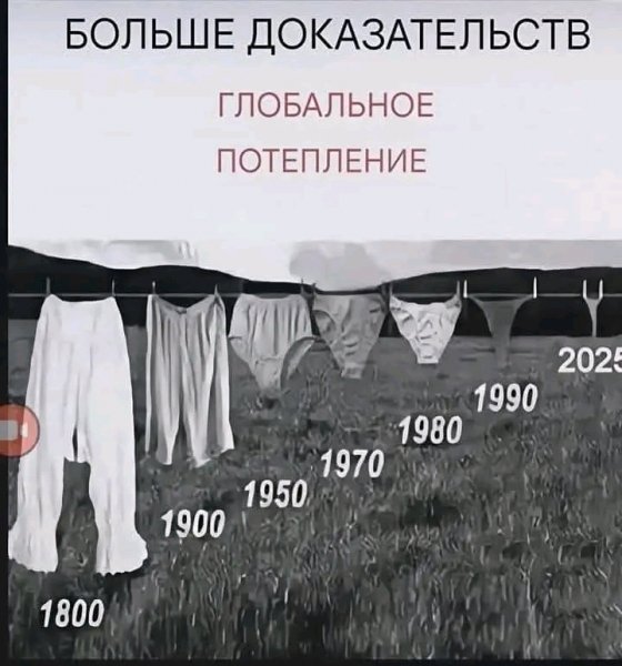 file_103311008