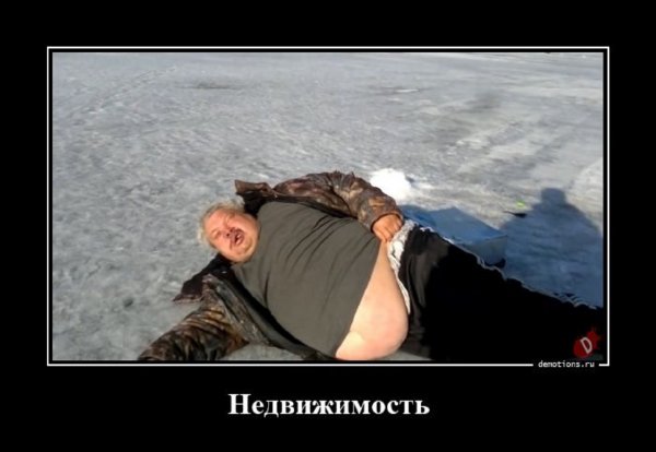 Недвижимость