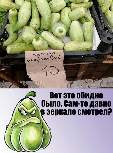 file_103271586