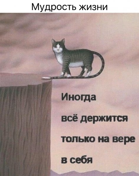 EuKHywpUd4A