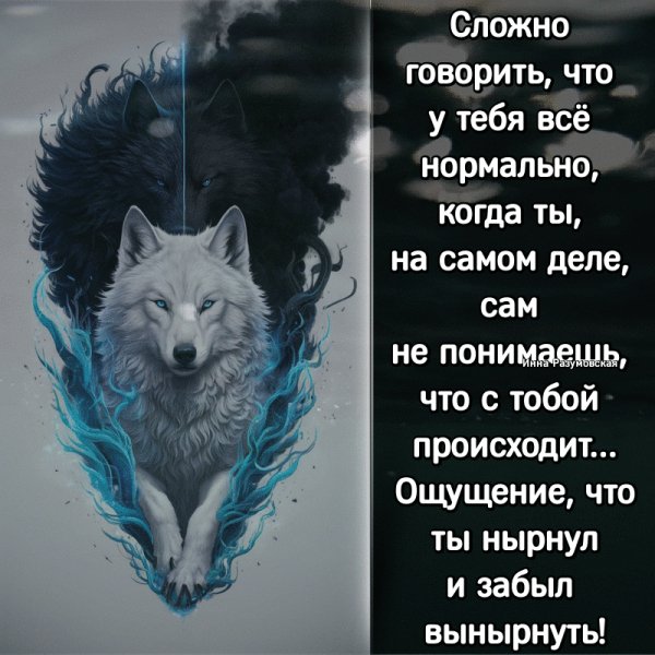 IMG 20260114 025913