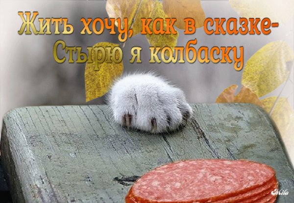 file_92704167