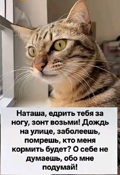 file_103410875