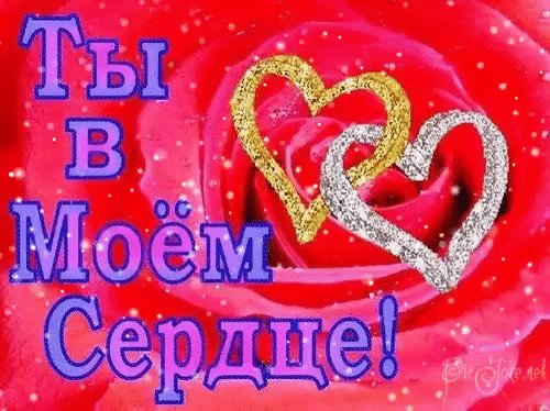 IMG 20170311 173317 49