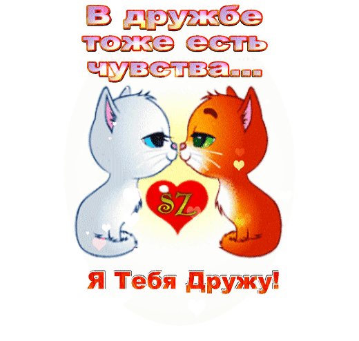 IMG 20190801 075316