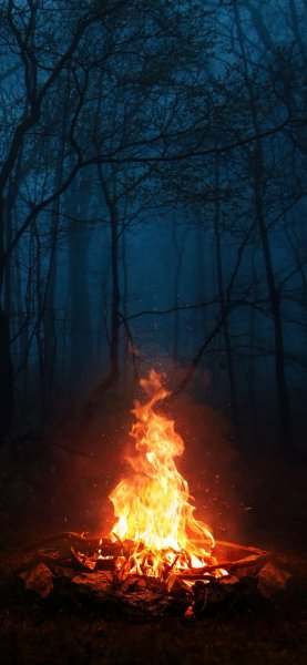 file_99668081