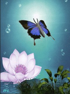 file_9299344