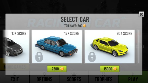 RacinginCar2017