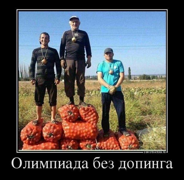 file_64769446