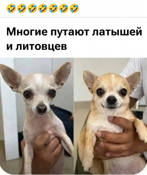 IMG 20260711 151244