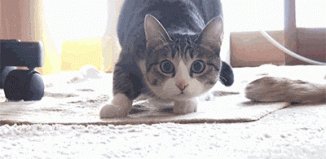 Охота))