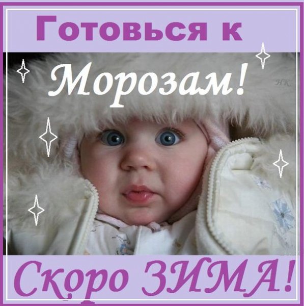 file_44305701