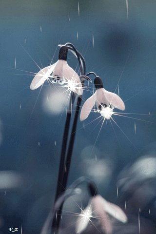 file_66128300
