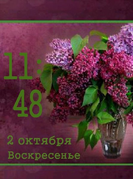Букет сирени