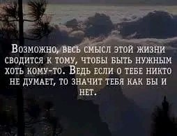 IMG 20260221 021511
