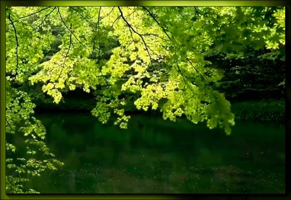 file_73040880