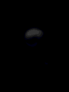 o