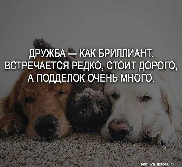VMi5ICuZvqw-