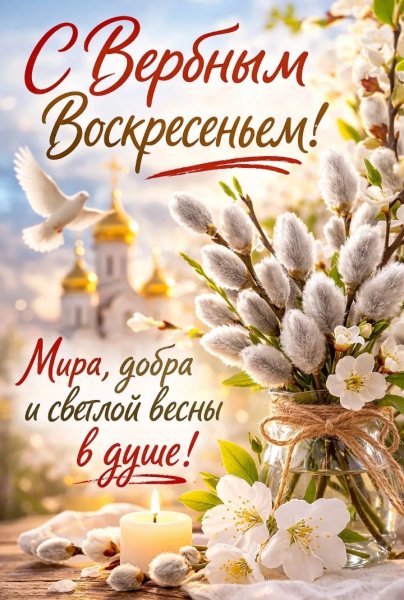 IMG 20260405 103413