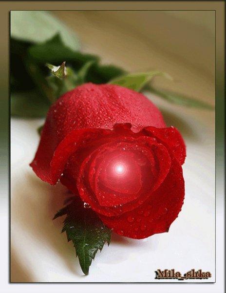 file_66609890
