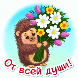 IMG 20210609 212845