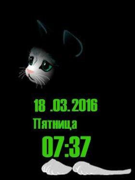 Котик анимация