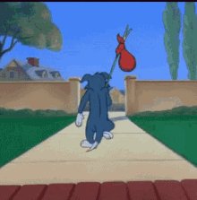 Tom-and-jerry