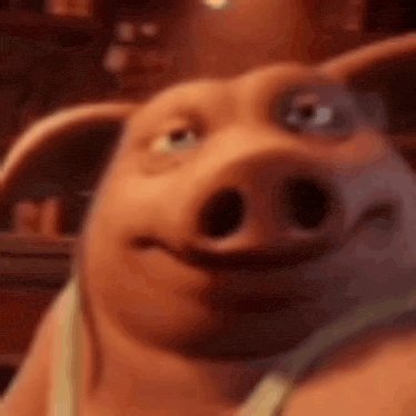 Pig
