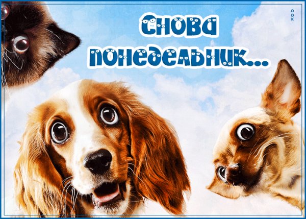 file_84255759