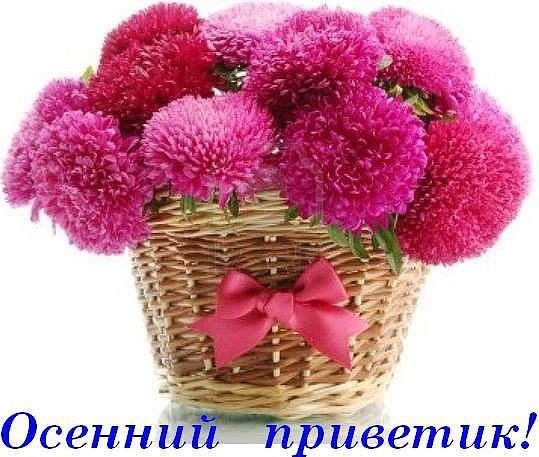 5aCn5MVMfi8