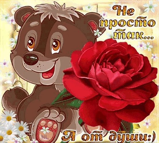 IMG 20200218 175856