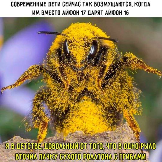 IMG 20260309 005457 791