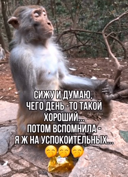 IMG 20240528 101754