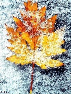 file_101097313