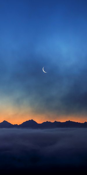 file_73055195