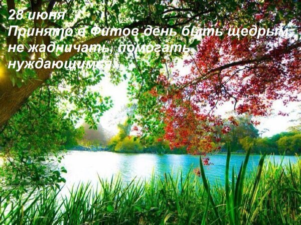 Открытка 28 июня принято в фитов день
