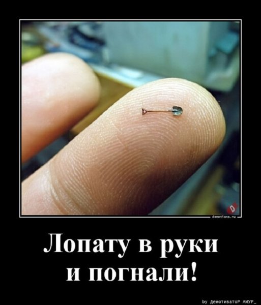 Лопату в руки и вперёд